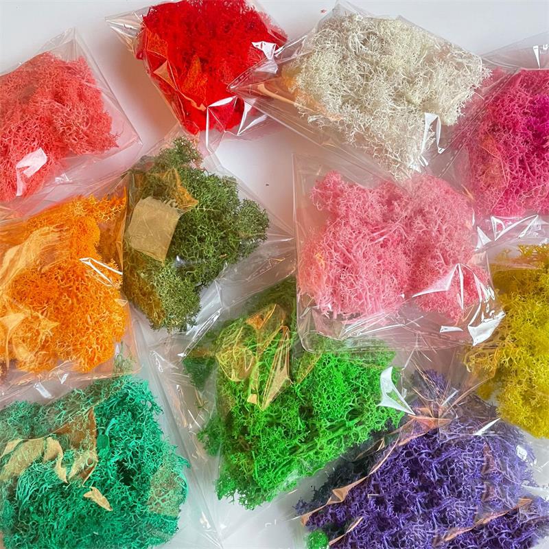 Sphagnum Moss Dry - 20-200G Tanaman Hijau Buatan Poliester Rumput