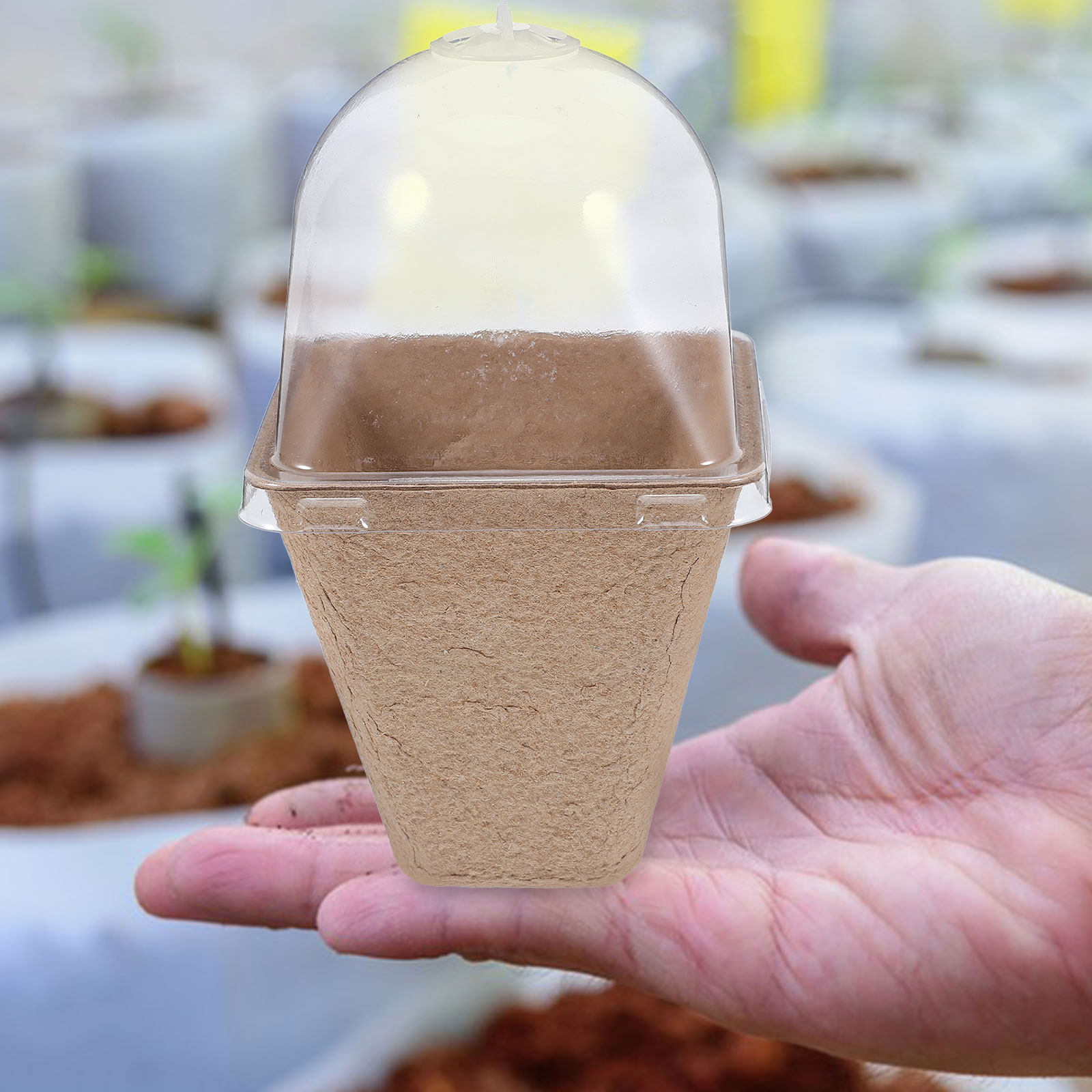 Humidity Dome Kit - 10Pcs Kit Pot Bibit Biodegradable dari