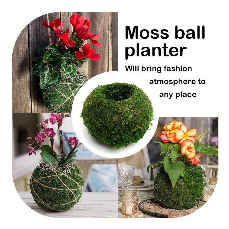 Pot Tanaman Lumut Buatan, Wada - Sphagnum Moss Dry ulasan dan harga