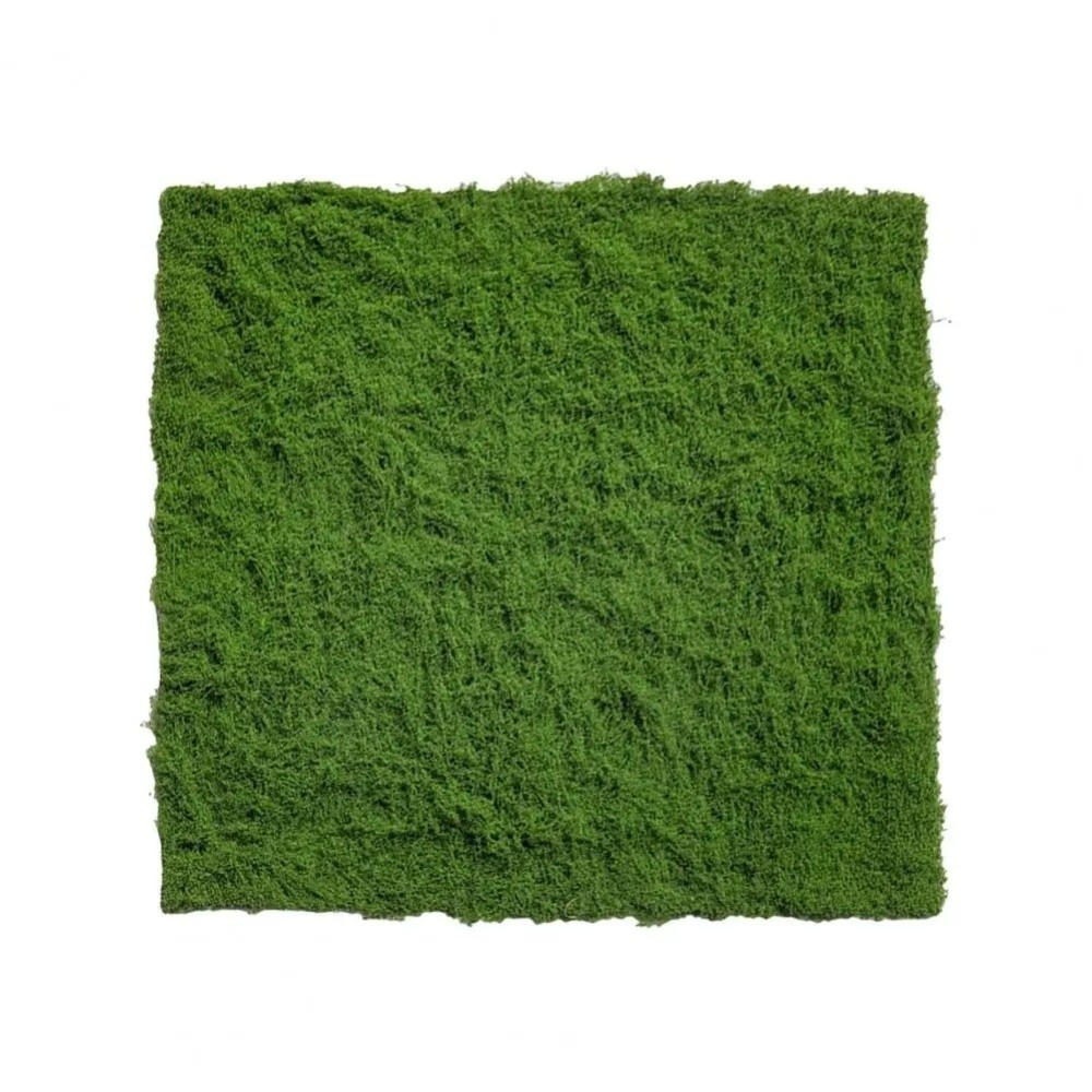 Karpet Rumput Buatan DIY Tahan - Sphagnum Moss Dry ulasan dan harga