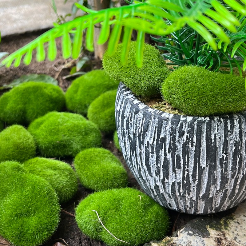 100/5 Buah Batu Lumut Buatan B - Sphagnum Moss Dry ulasan dan harga