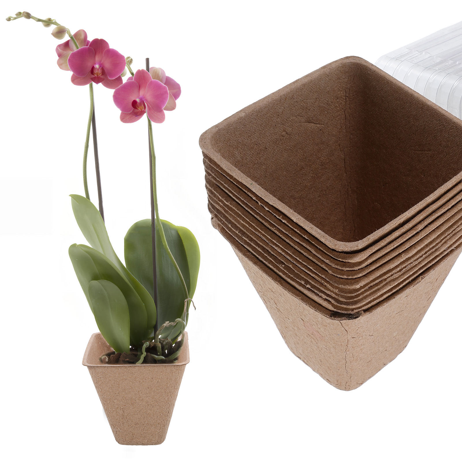 10Pcs Kit Pot Bibit Biodegrada - Humidity Dome Kit ulasan dan harga