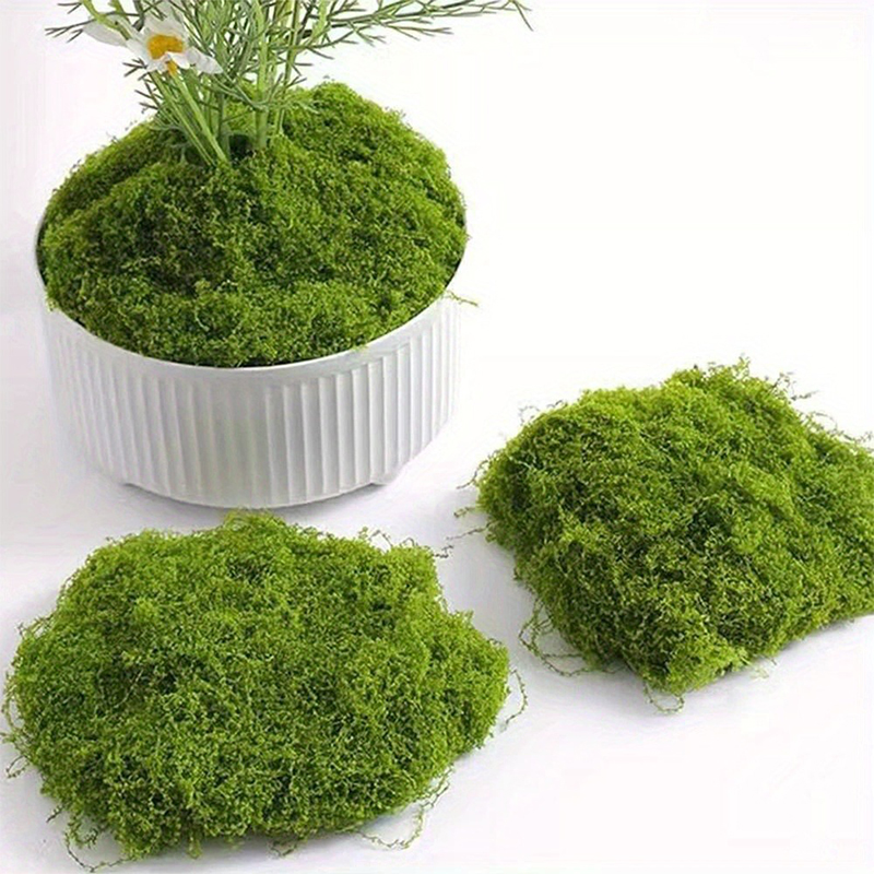 Lumut palsu hijau DIY kerajina - Sphagnum Moss Dry ulasan dan harga