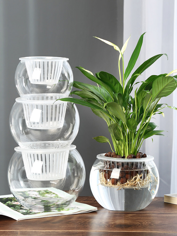 Vas Kaca Hidroponik, Vas Bunga - Propagation Station Vase ulasan dan harga